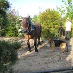 Servicebild 2
